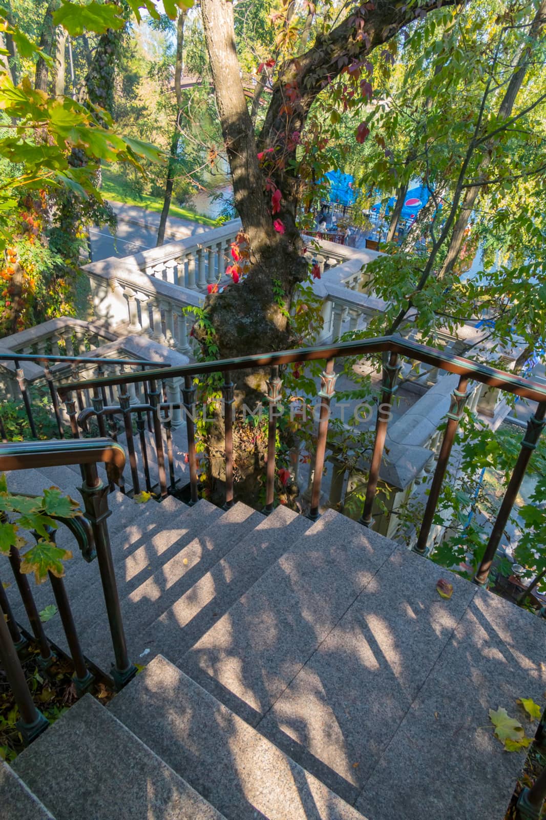 Steep staircase going down between the trees to the viewing platform below with a beautiful view of the surrounding nature.