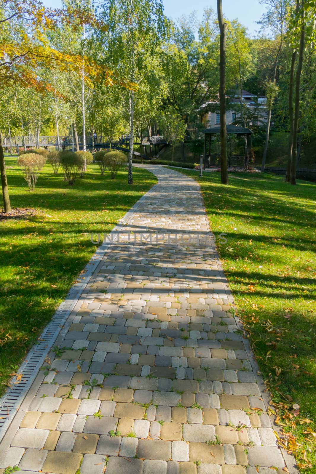 A path through the park. To the left is the greenery, to the right is the greenery. Perfectly