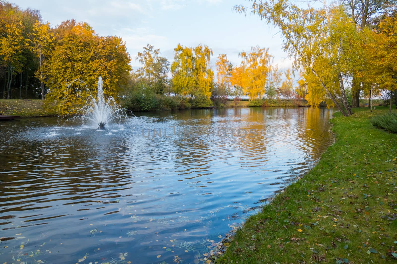 Autumn time is the eye of enchantment with yellow red trees on the shore of a pond with a fountain in the middle of it beating a multitude of transparent jets.