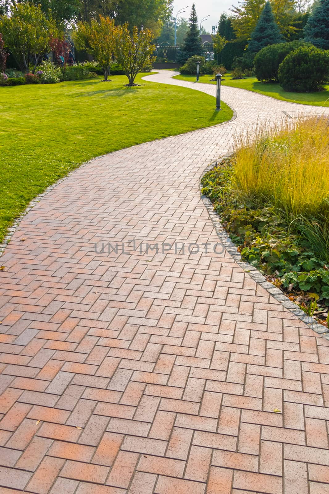 A place for walking after lunch. Park, path, green grass by Adamchuk