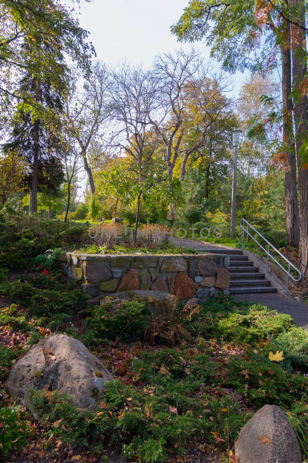 A small decorative flower bed with large stone boulders against the background of steps