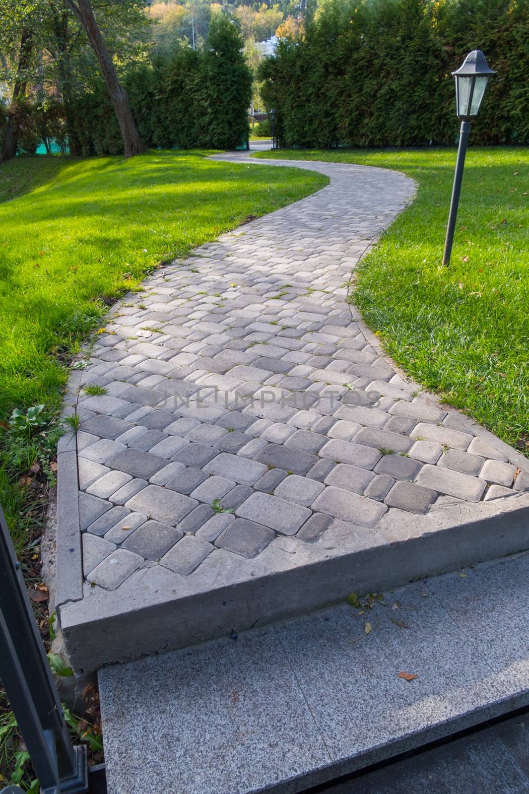 snake curling to high bushes track in a park lined with bricks by Adamchuk