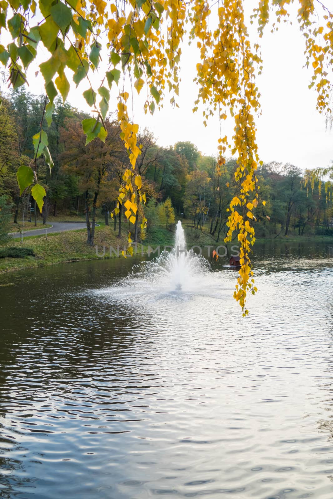 splashes of water splashed from the fountain along the water und by Adamchuk