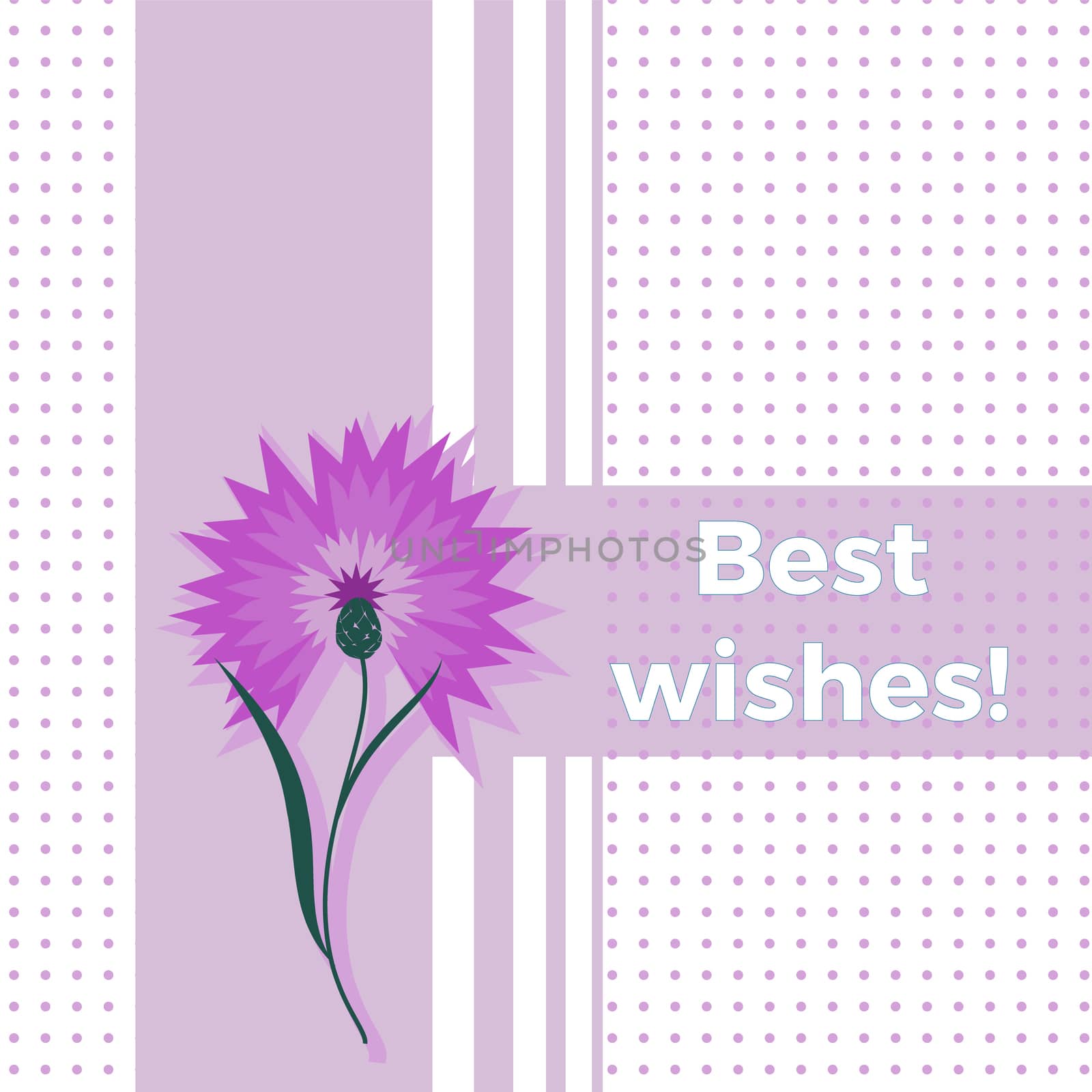 Floral greeting card best wishes with blue flower cornflower or centaurea cyanus. Polka dot background. Cartoon cornflower postcard