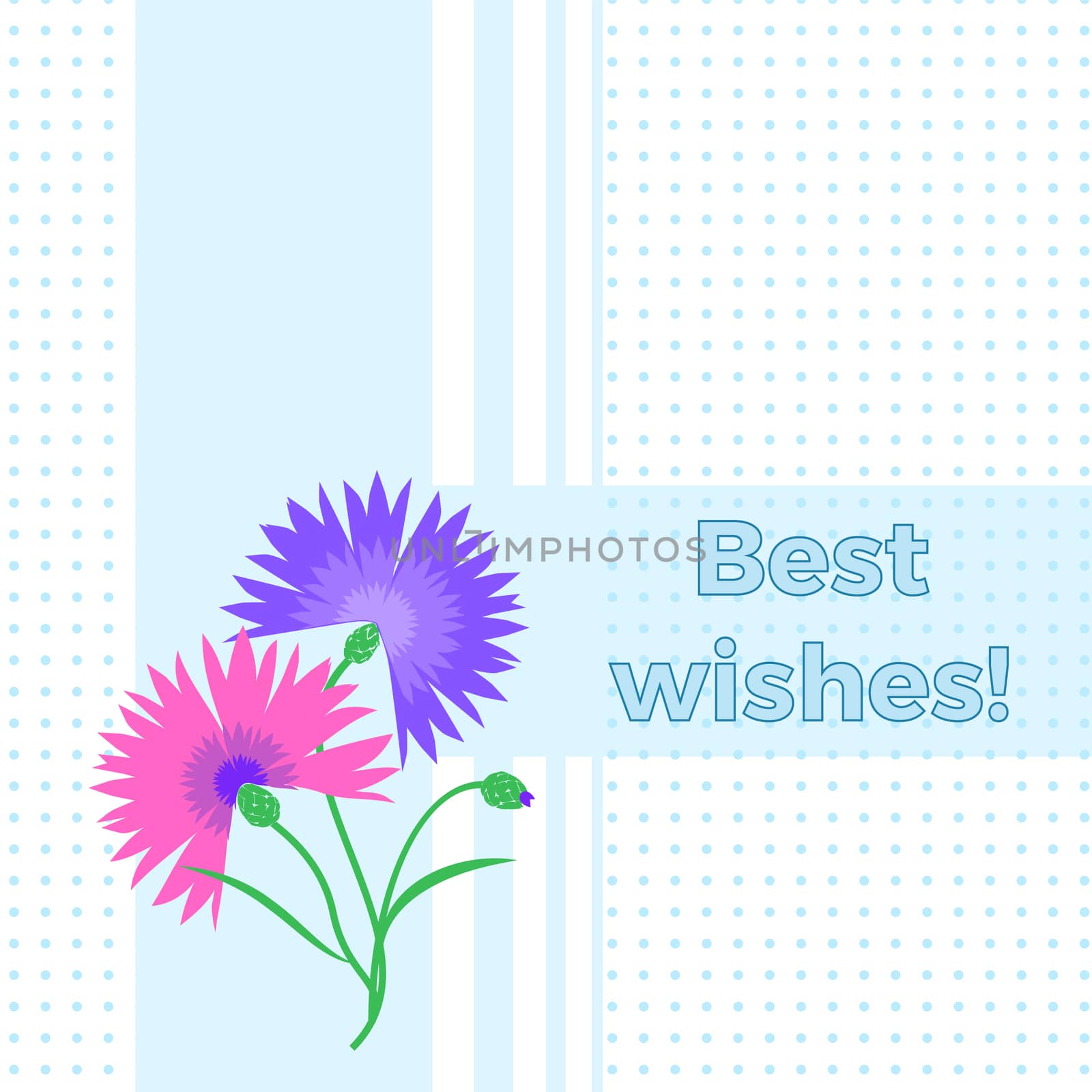 Floral greeting card best wishes with blue flower cornflower or centaurea cyanus. Polka dot background. Cartoon cornflower postcard