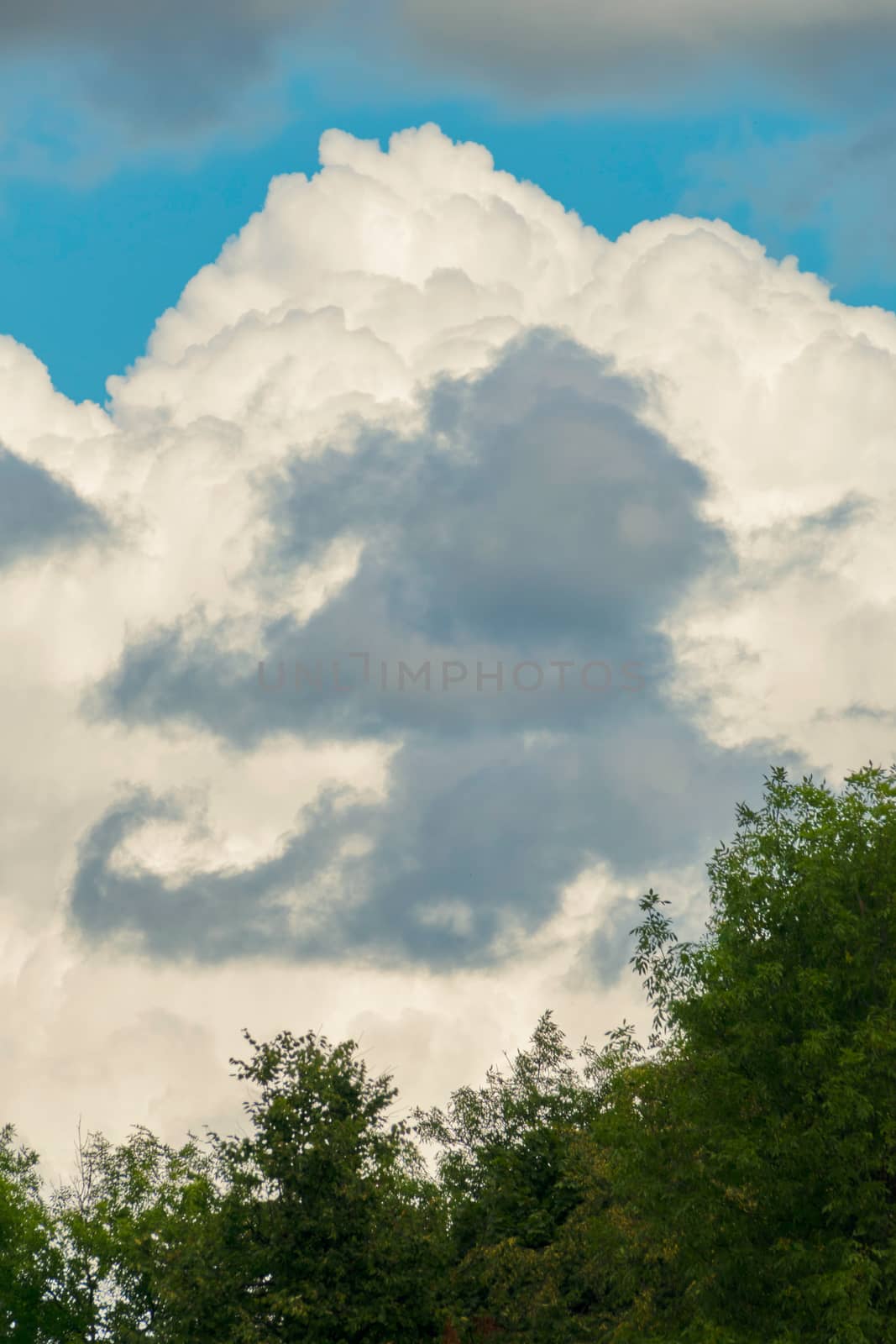 The white dense cloud in the sky overshadowed almost the entire sky. So low hanging that it seems as if it rests on the top of the tree standing under it.