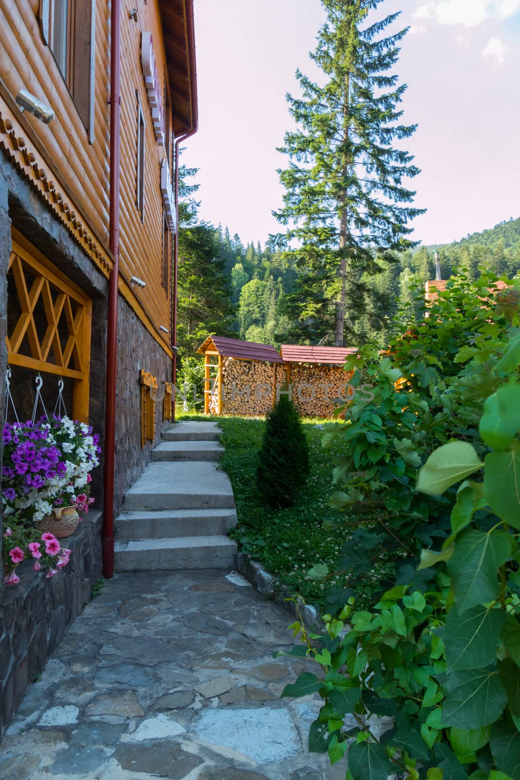 Concrete steps near the large wooden building of the hotel complex by Adamchuk