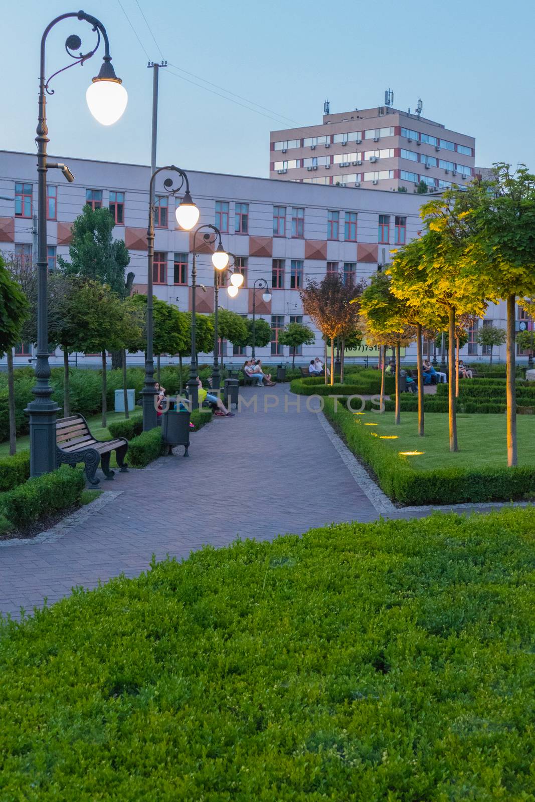 people resting in the park on benches under the lights of evening lights