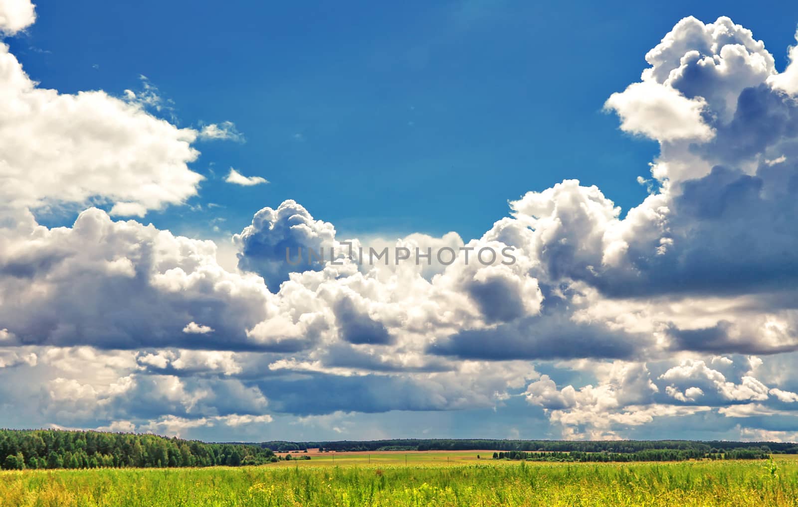 majestic clouds against a background of a green meadow against a by Adamchuk