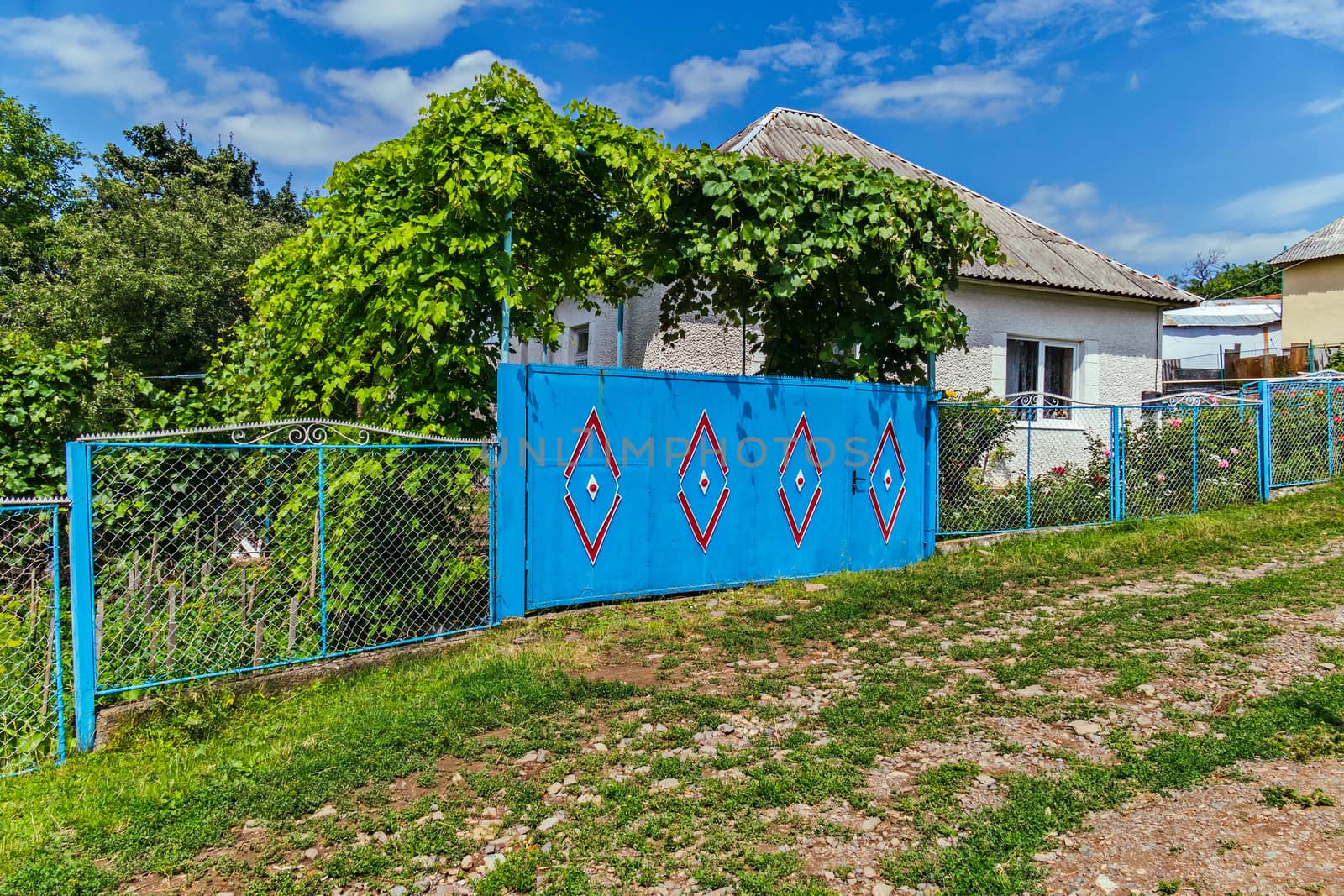 Private sector with a blue gate in a red pattern. A vineyard grows above the gate