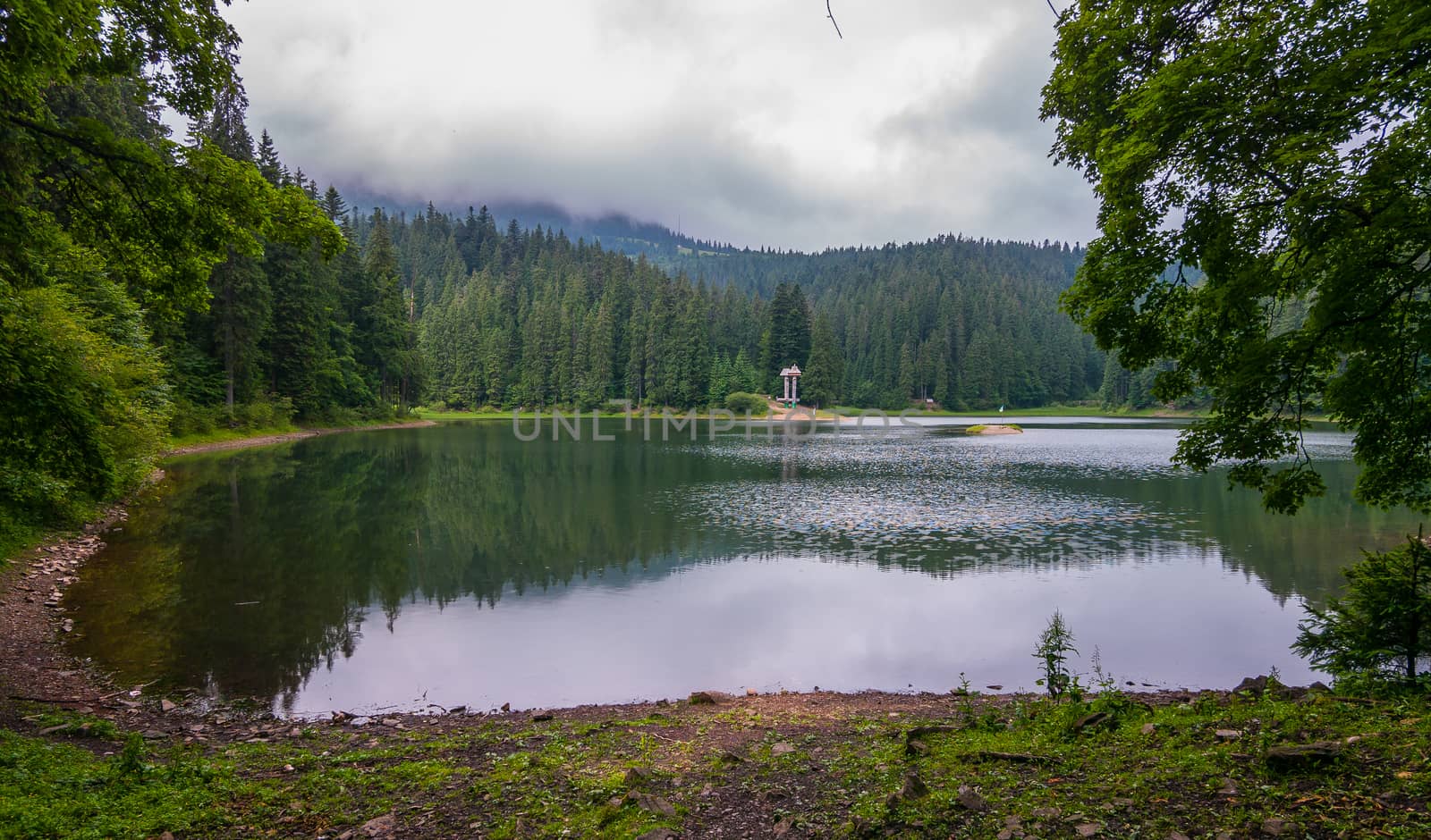 A small lake located among a high dense forest with creeping clouds over the treetops by Adamchuk