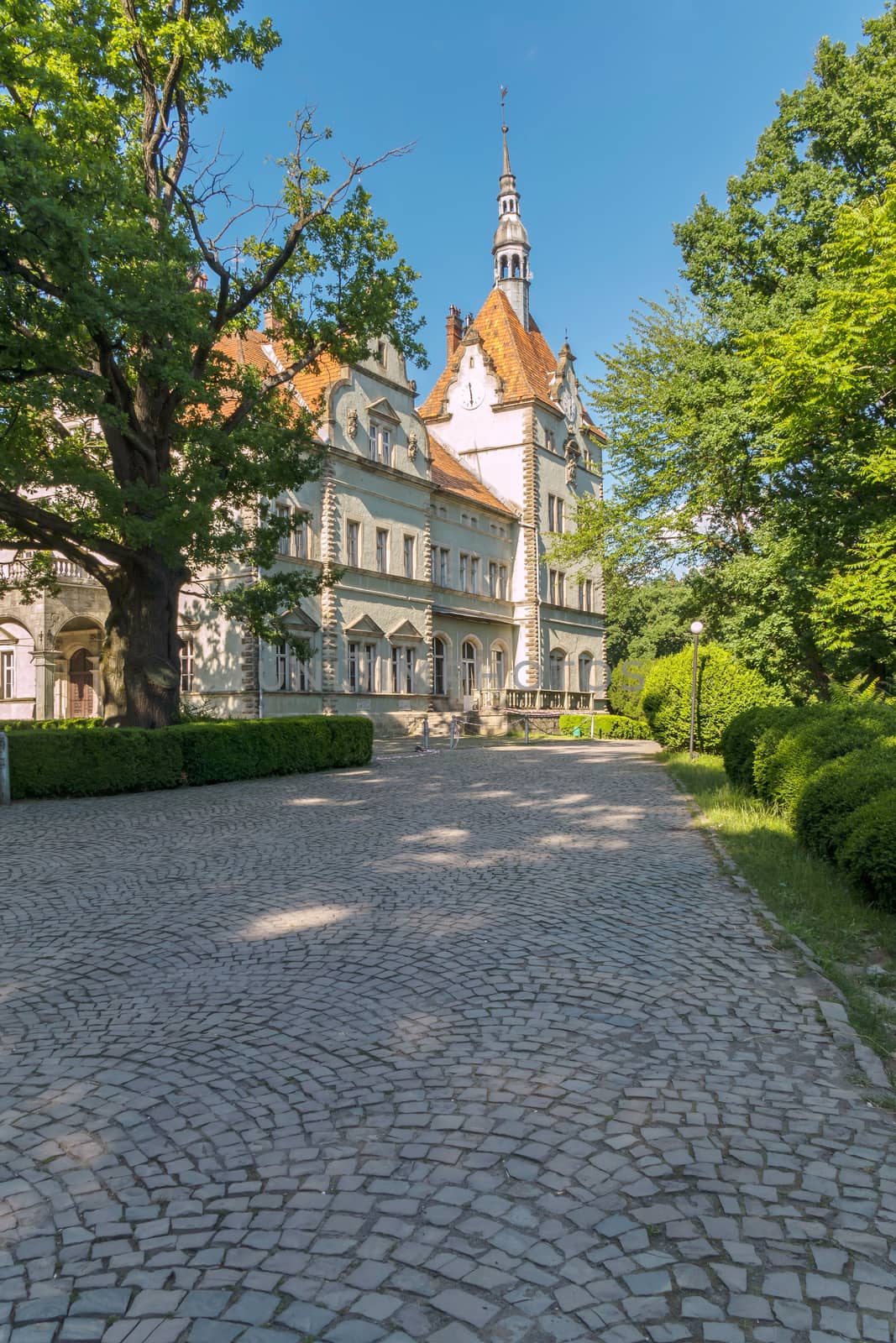 A spacious alley with neatly clipped green bushes on the sides, leading to a beautiful old castle