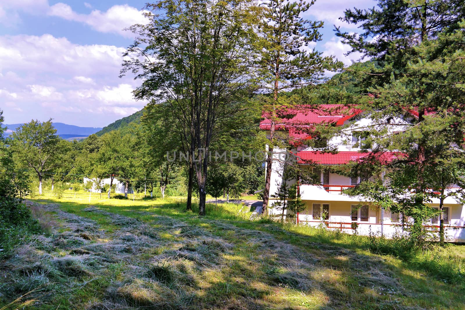 freshly mown grass near a pretty house with a tiled roof