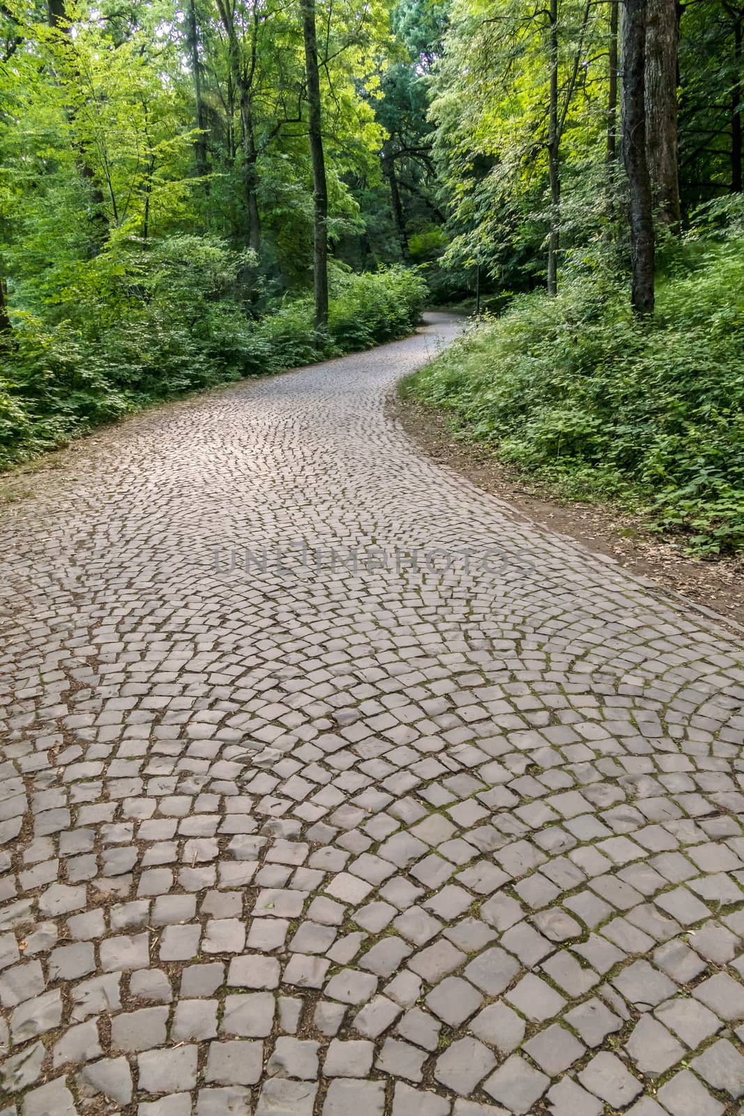 The path laid out by the Austrian cobbled descends down between the green plantations of the trees in the park.