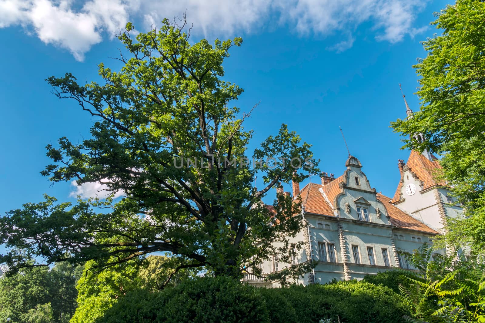 The Count of Schoenborn Castle on a hill in the Carpathian Mountains on the background of a blue sky