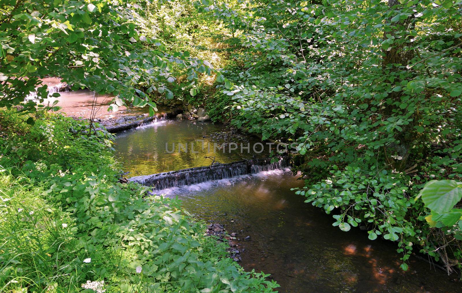 three small waterfalls in a river in the middle of the forest