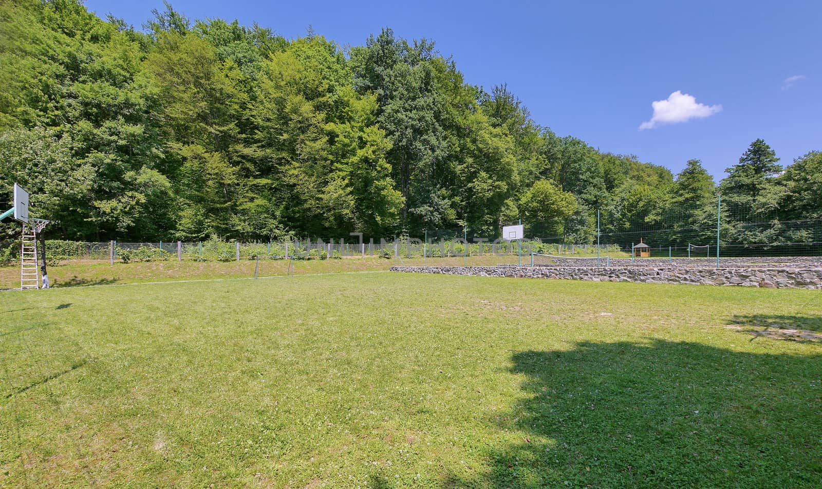 Fields for tennis and basketball with a green lawn against the background of tall trees