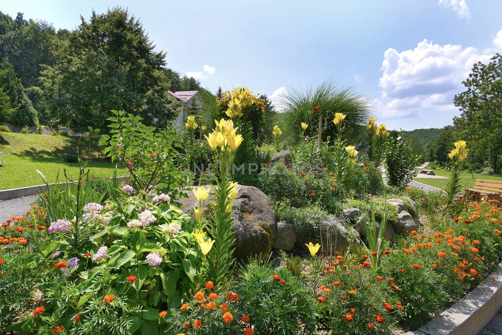 Tall yellow lilies and blackberry fill the flower bed with an alpine hill