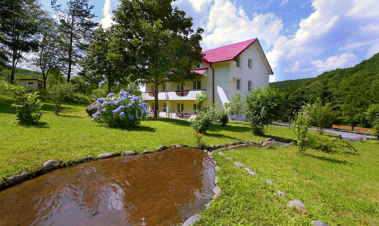 An artificial shallow pond amid a green lawn lined on the shore with stones flowing downwards against the background of a beautiful bush of flowers growing near the house.