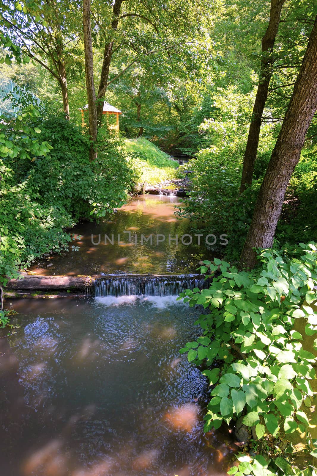 A rapidly flowing mountain river with green plantations on the sides and a wooden pergola in the background by Adamchuk