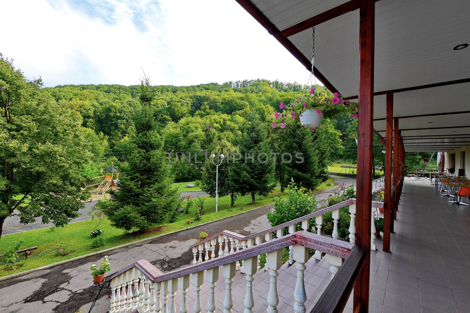 magnificent view from the hotel terrace to the green forest