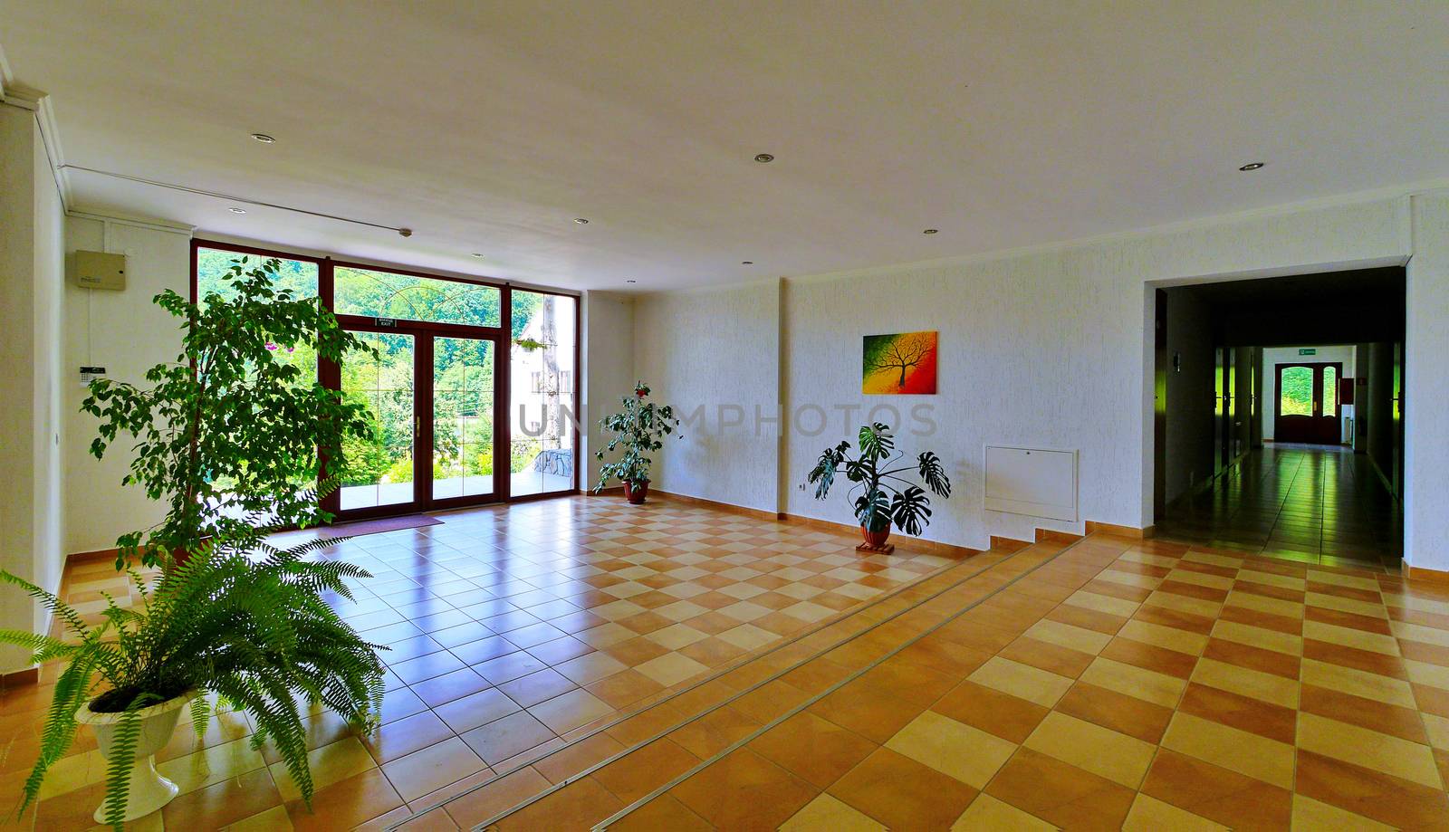 A hall in a building with standing pots with green plants a picture on the wall and a beautiful view through the glass doors to the green nature behind it.