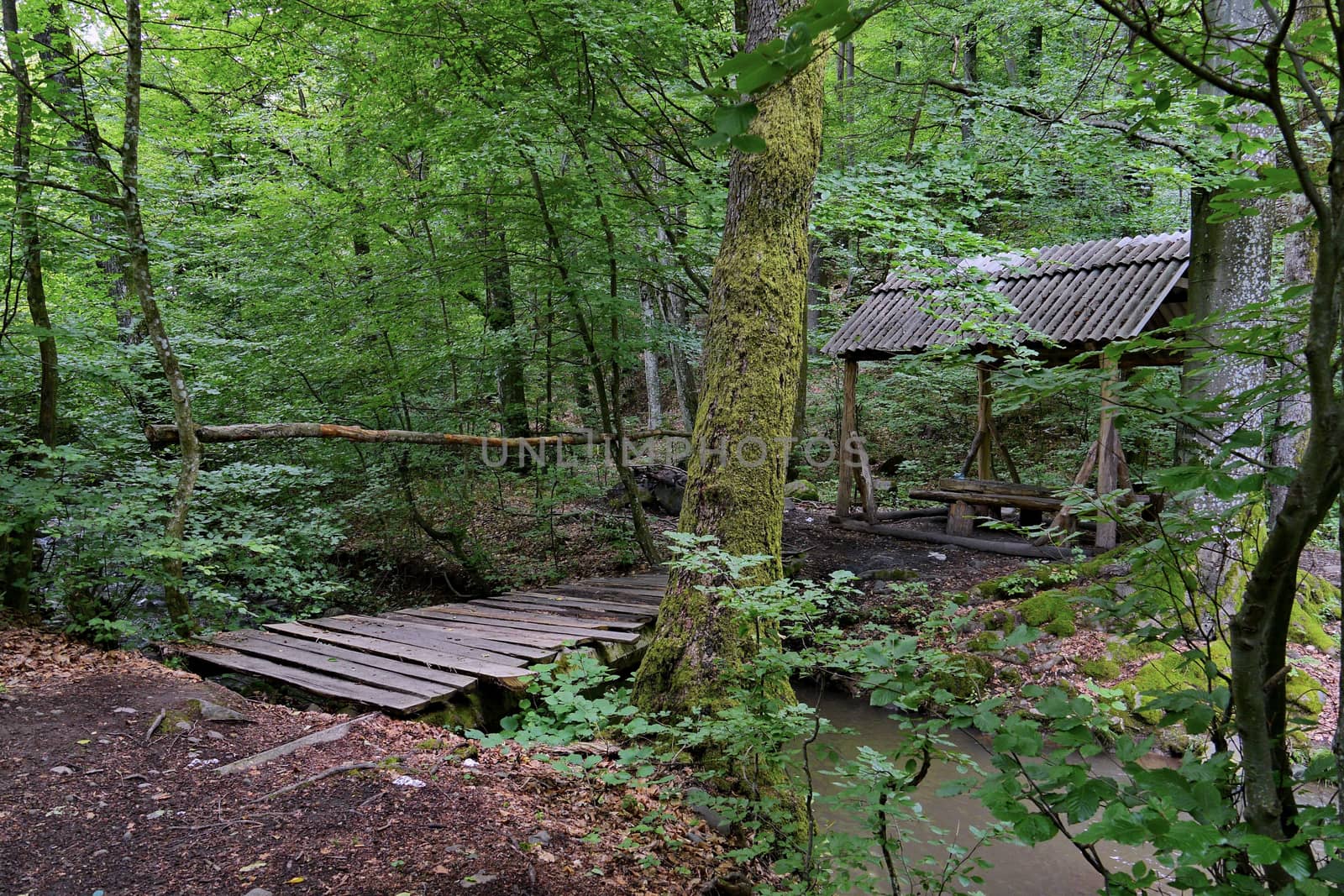 Wooden bridge across a small mountain river on the way to a picturesque gazebo