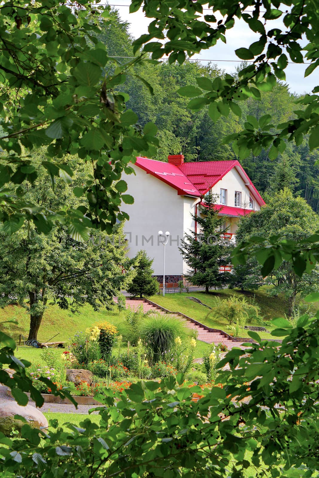 Elegant view from behind the green foliage of a tree to a luxurious house with a tiled roof standing amidst the beautiful nature near a dense forest. by Adamchuk