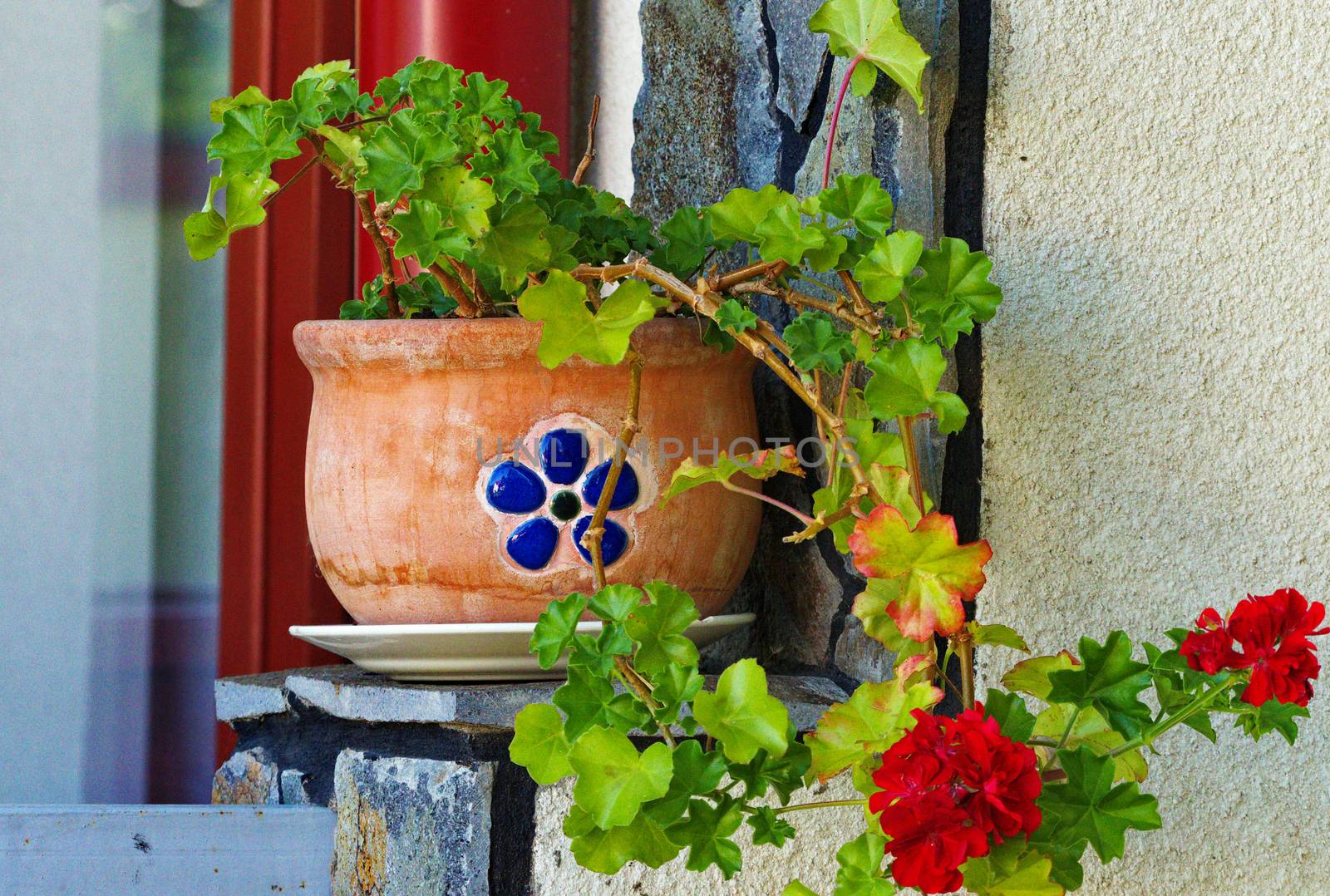 Decorative clay pot with curly flower, standing on the windowsill