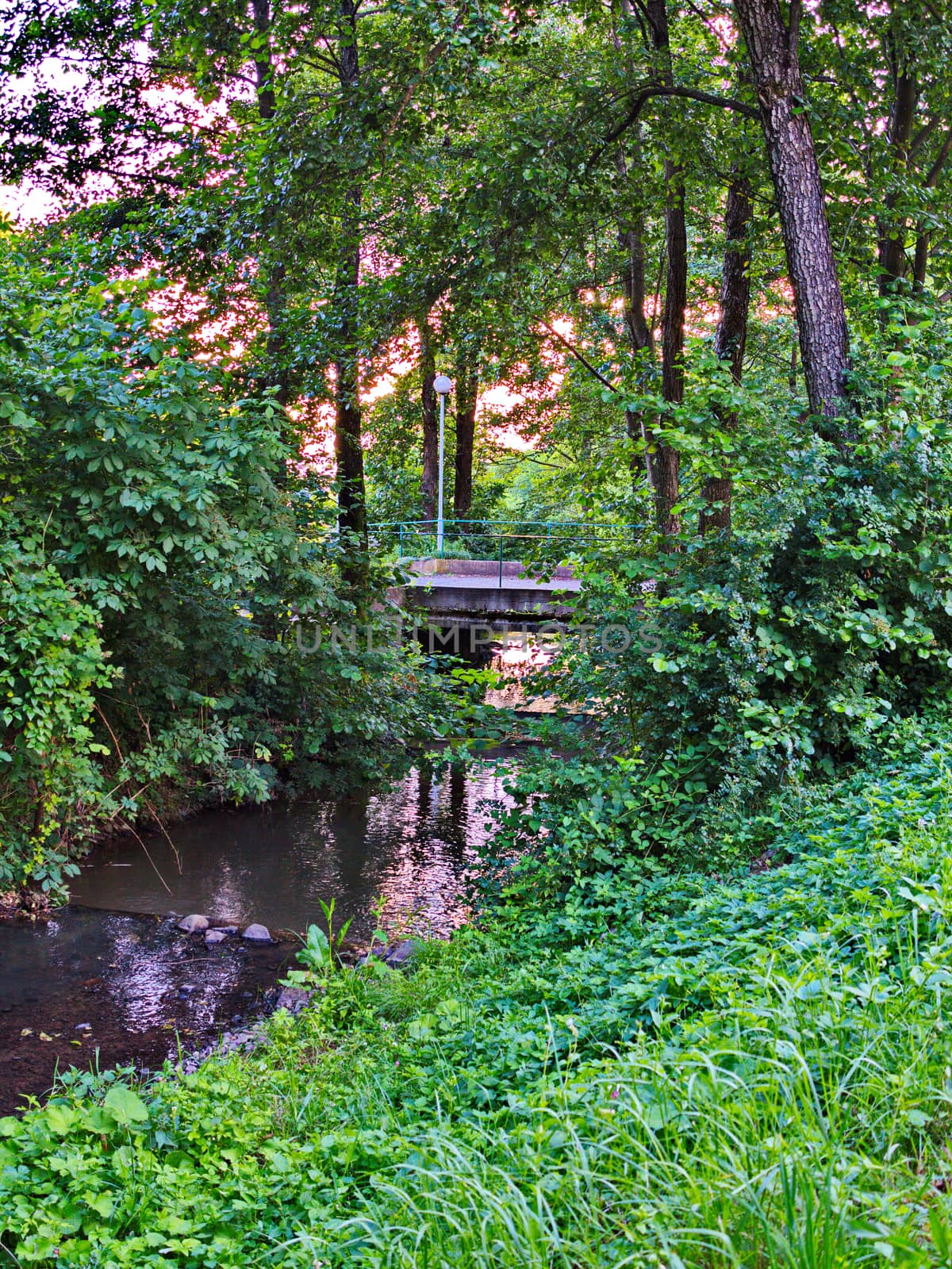 A pedestrian bridge in green thickets of bushes lying across a small river flowing in a picturesque area with trees growing on the banks. by Adamchuk