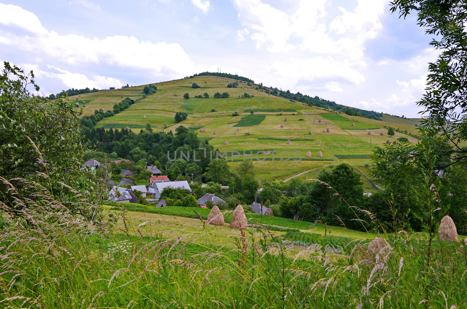 Neat roofs of rural houses in a valley among green trees and harvested hay on a hillside divided into plots.