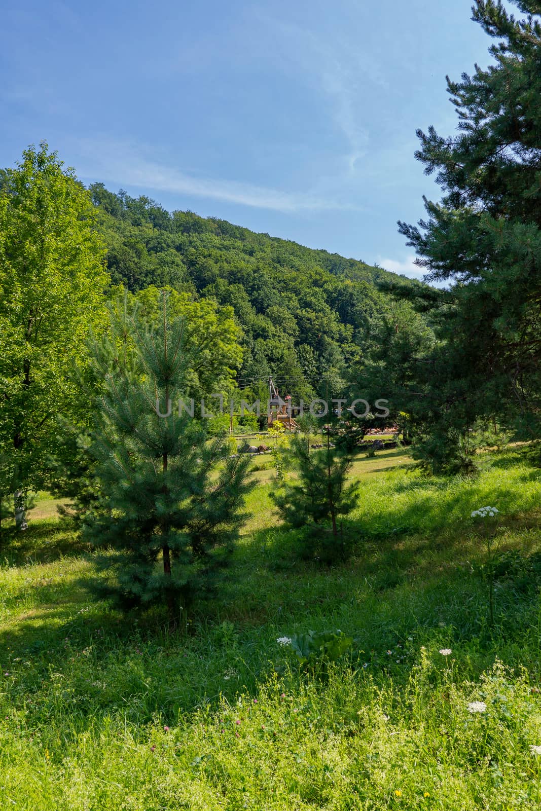 A green glade with grass in the shade of a big fir tree with a beautiful view of the green slopes overgrown with thick trees in the distance.