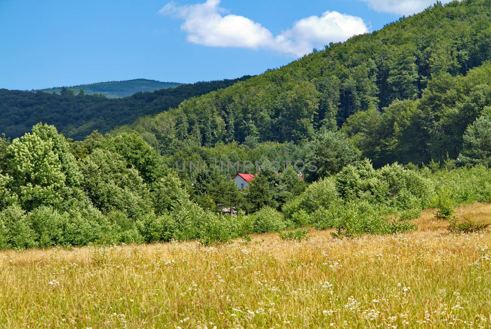 The red roof of a small house from the forest looks at the foot of the mountain