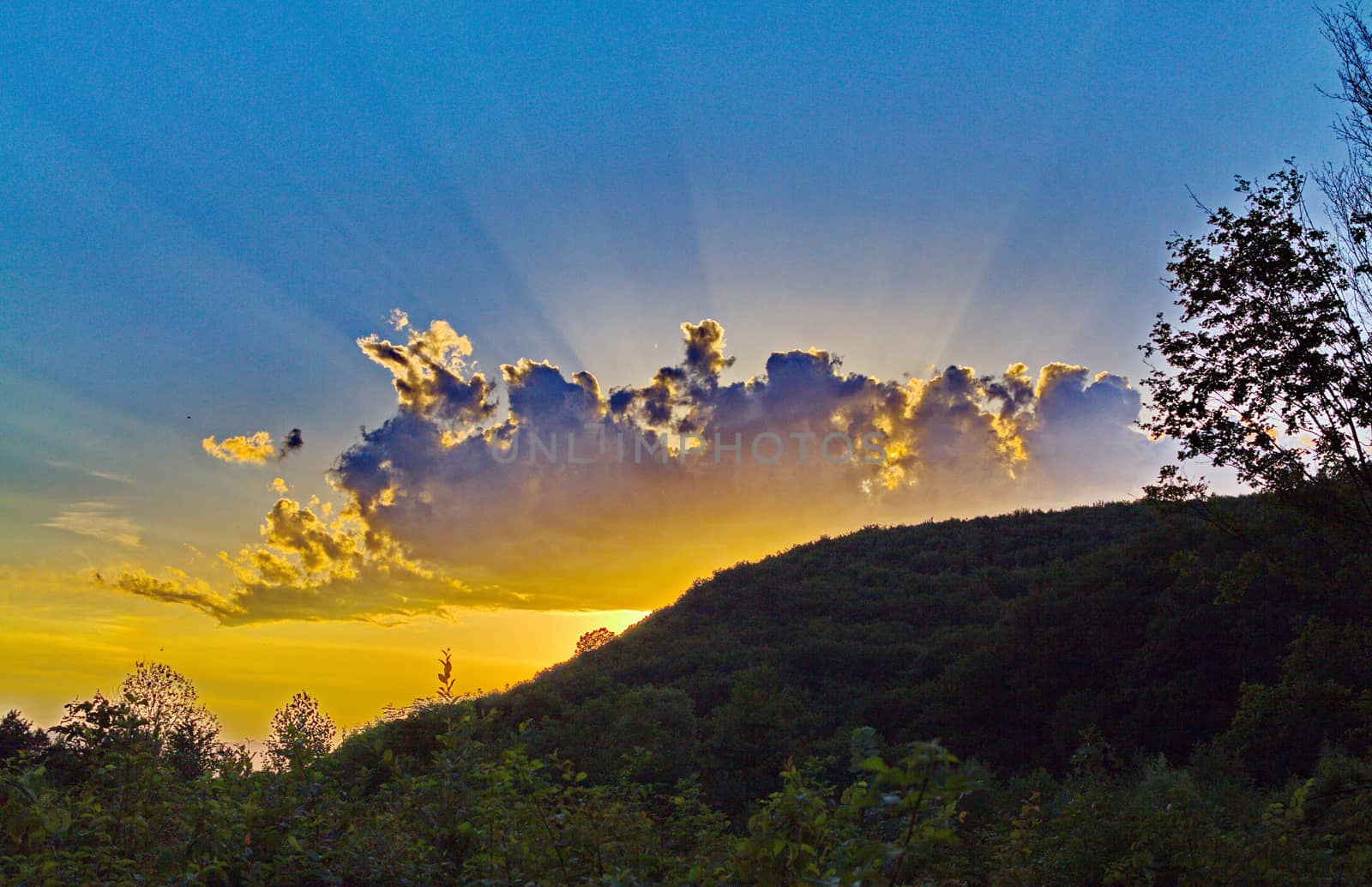 An exceptionally beautiful crescent playing yellow, blue and violet flowers in the clear sky above the green hills