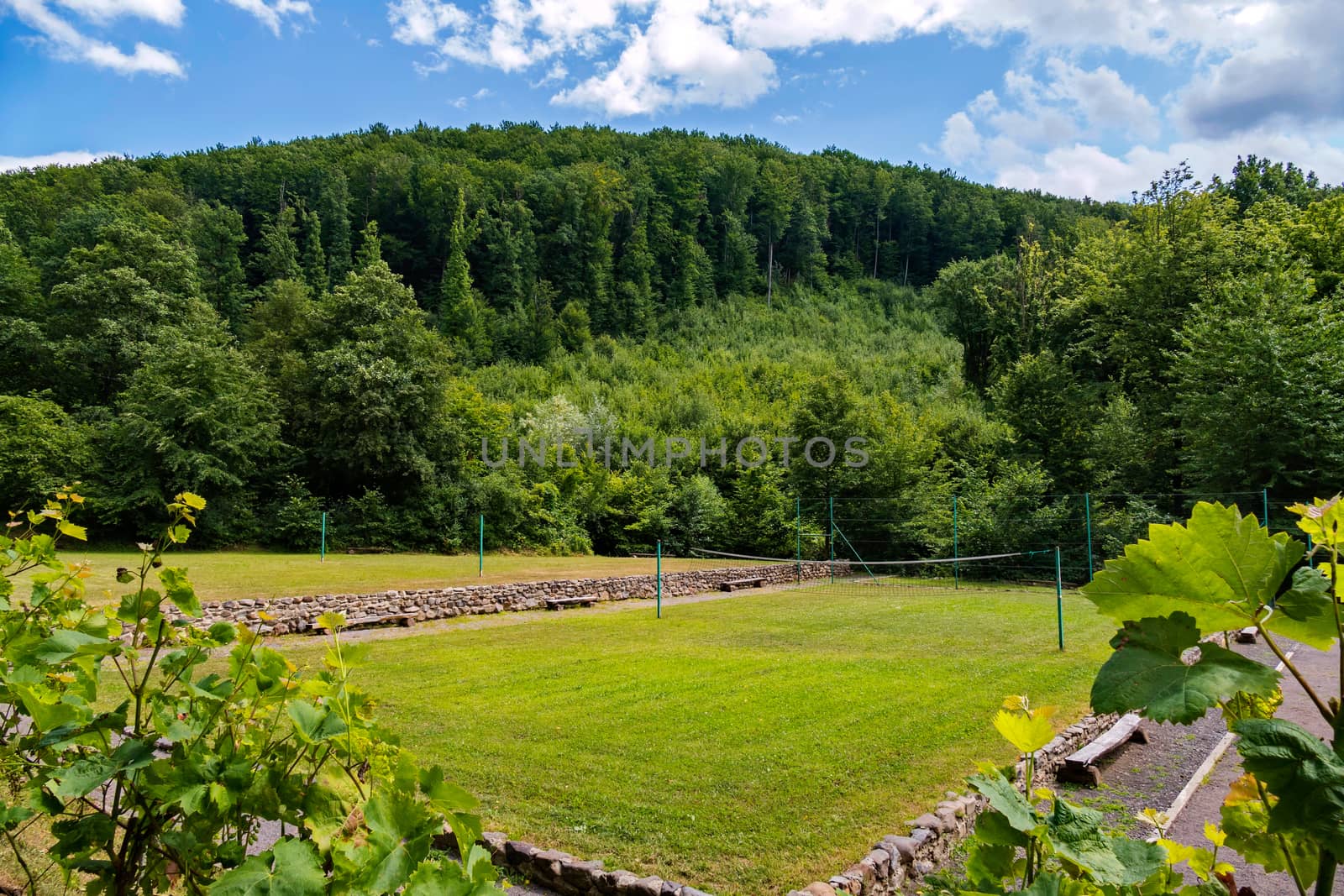 A volleyball court with green grass outdoors against the background of tall green trees. With benches for spare and a small wall around the site lined with stone.