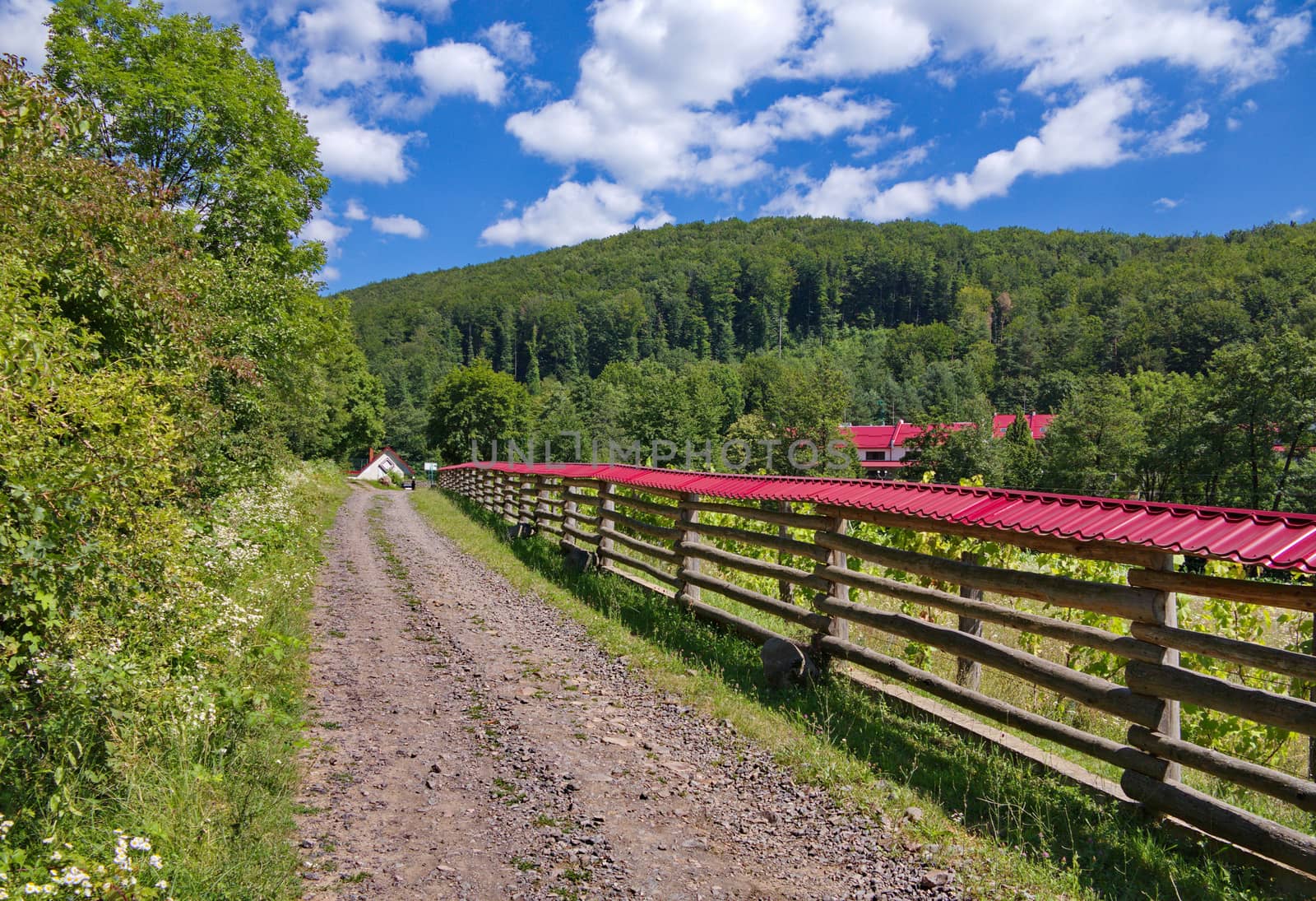 The pasture for animals protects from a dirt road and forest, a wooden fence made of logs with a red cover