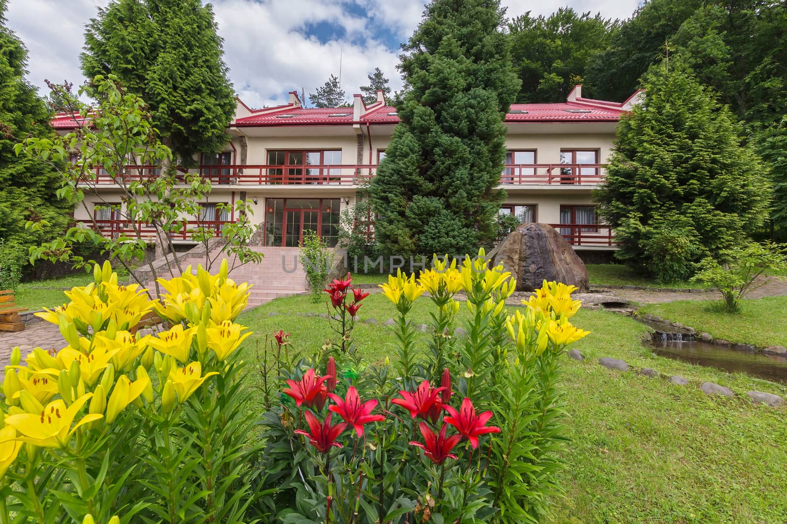 Beautiful white and red lilies growing on a green lawn in front of the house with a tiled roof and a large stone lying between two trees near its walls.