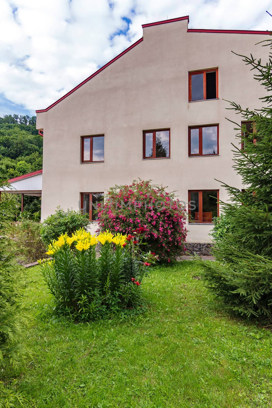 Beautiful scenery from the window the tenants see the house in the photo. Greenery, a flower bed with yellow and red flowers by Adamchuk