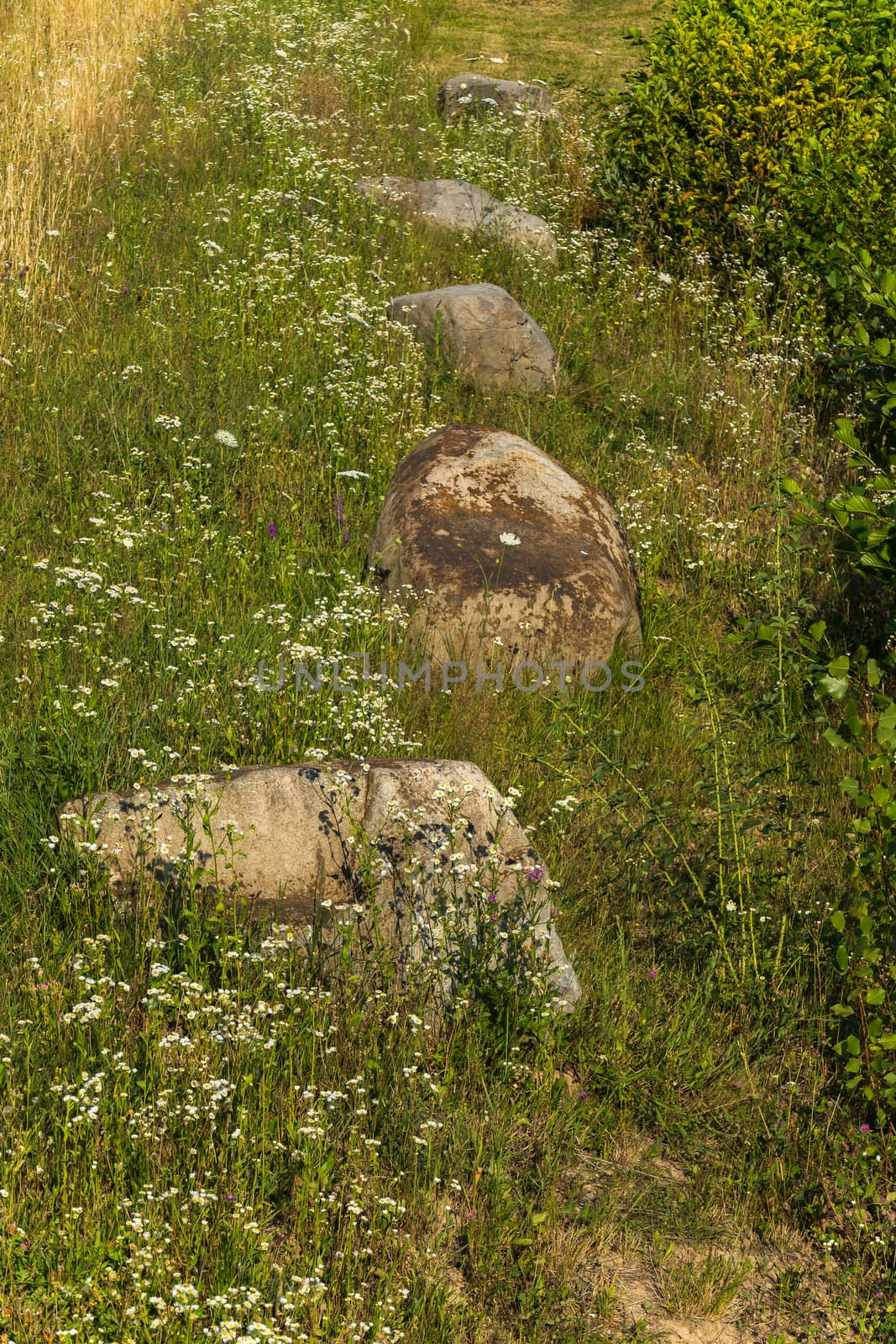 Large boulders on the grassy slope of the mountain in the rays of sunlight by Adamchuk