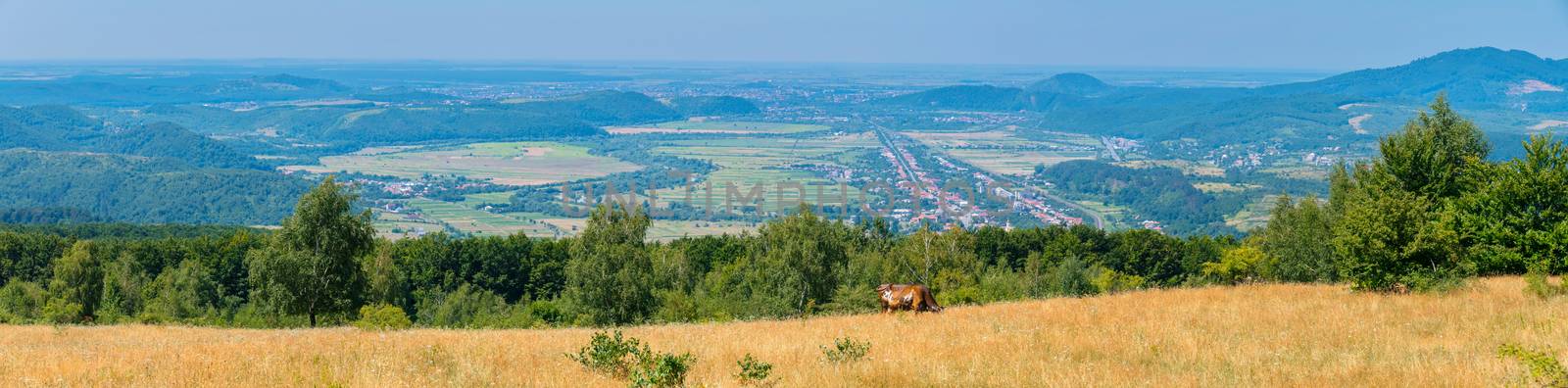 A magnificent panorama of the city lying in a green mountain valley between the slopes of the wooded stretch to the horizon line itself.