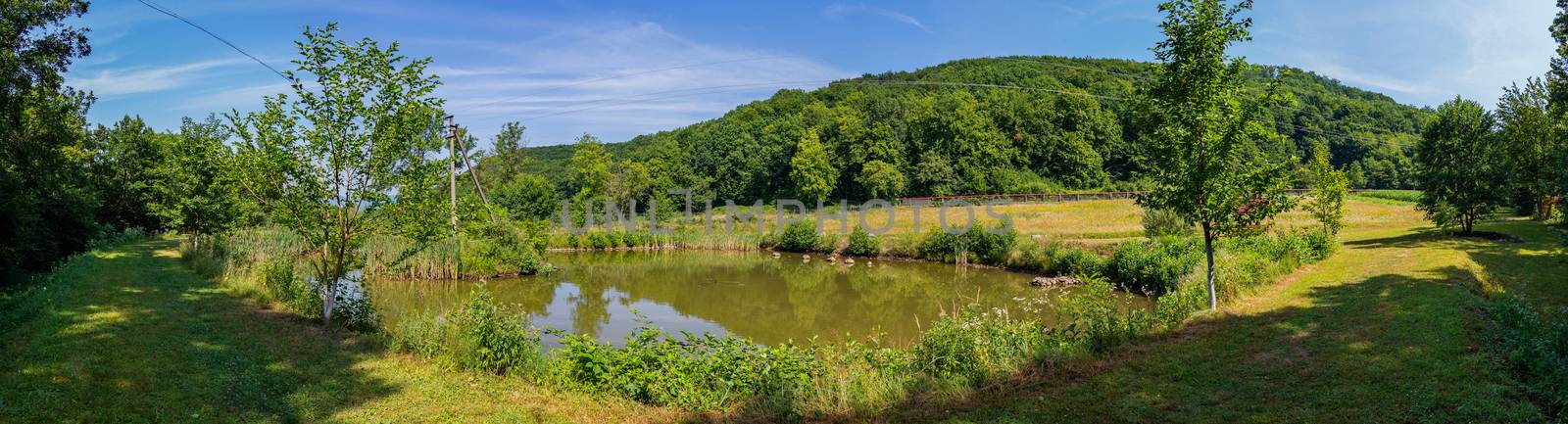 Beautiful panorama of nature with a small pond and standing in it on a green island of electric support against the background of a tall forest growing on a slope. by Adamchuk