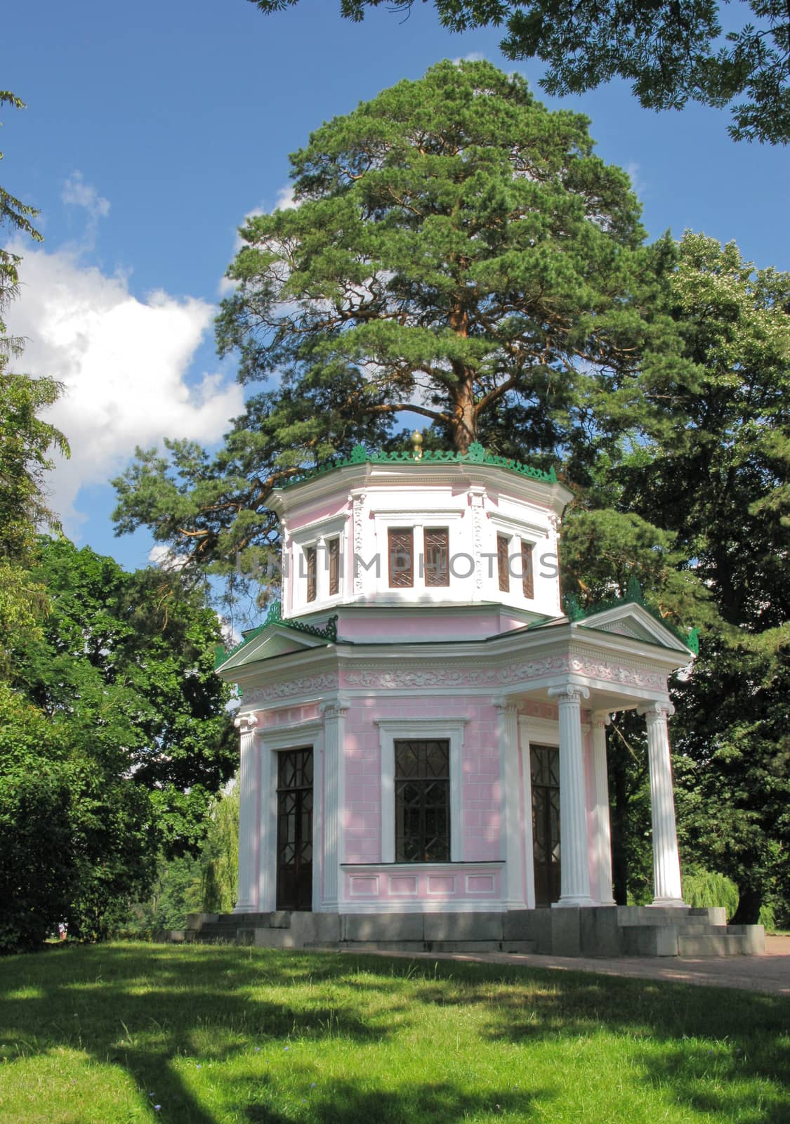 beautiful gazebo on a green hillock in the shadow of a large pine by Adamchuk