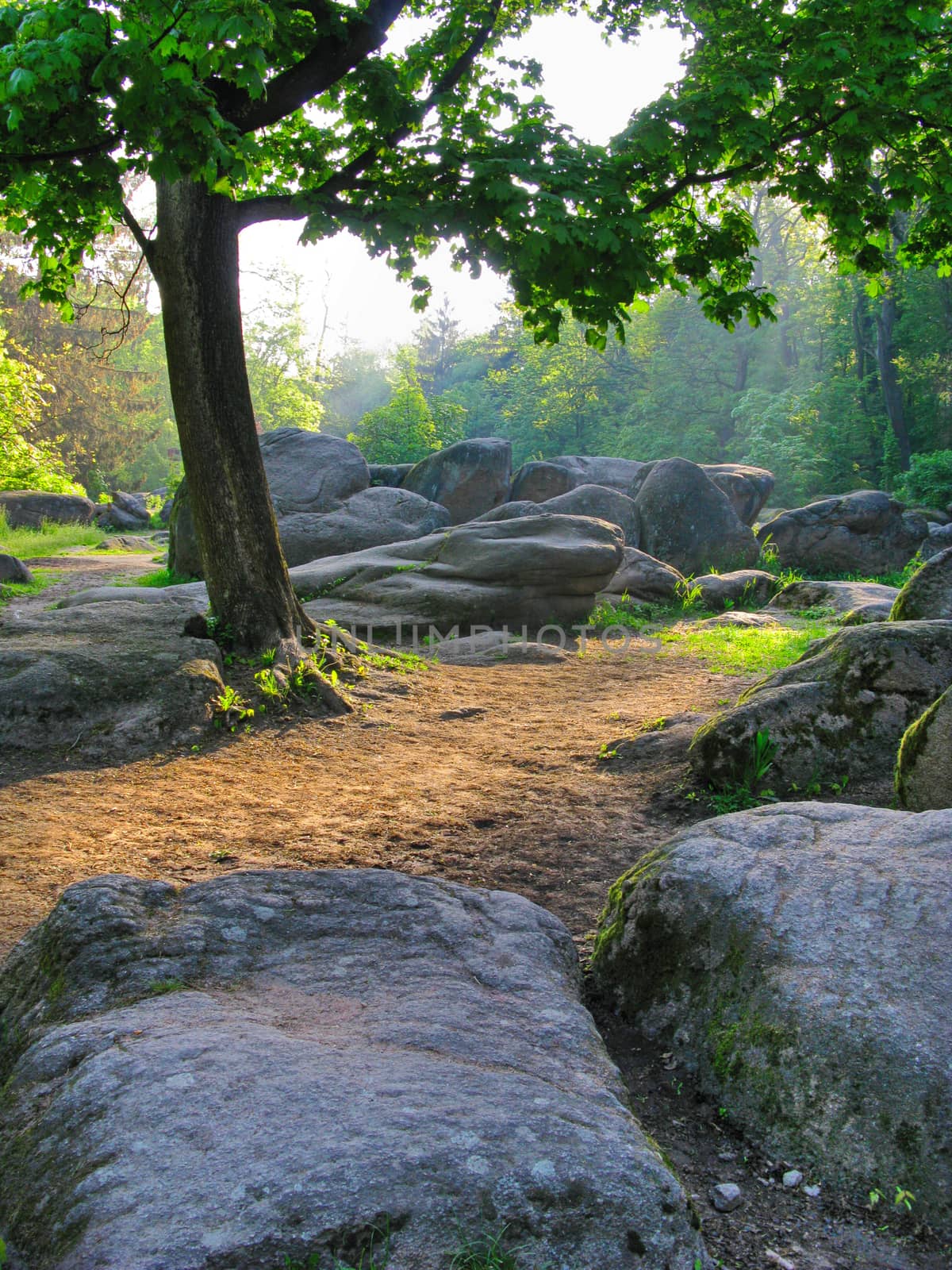 landscape as if from a fairy tale with large stones of various forms lying near a tree