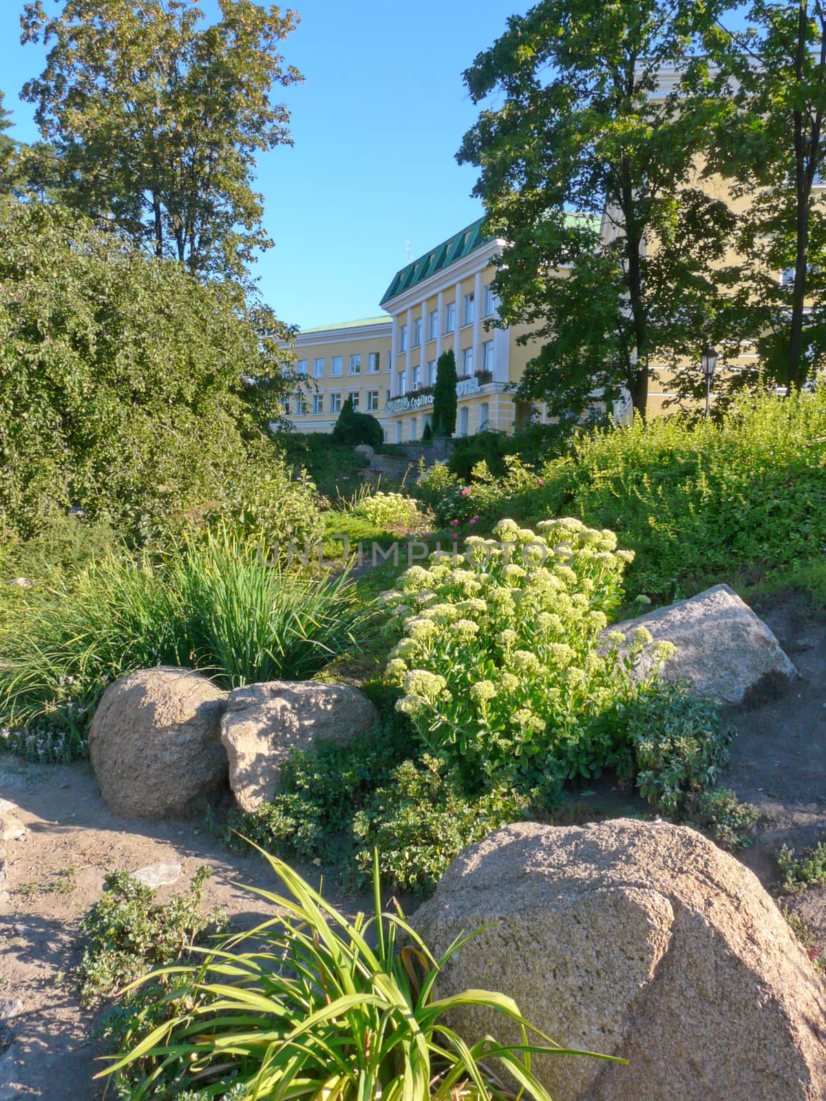 Beautiful nature with bright flowers growing next to the hotel l by Adamchuk