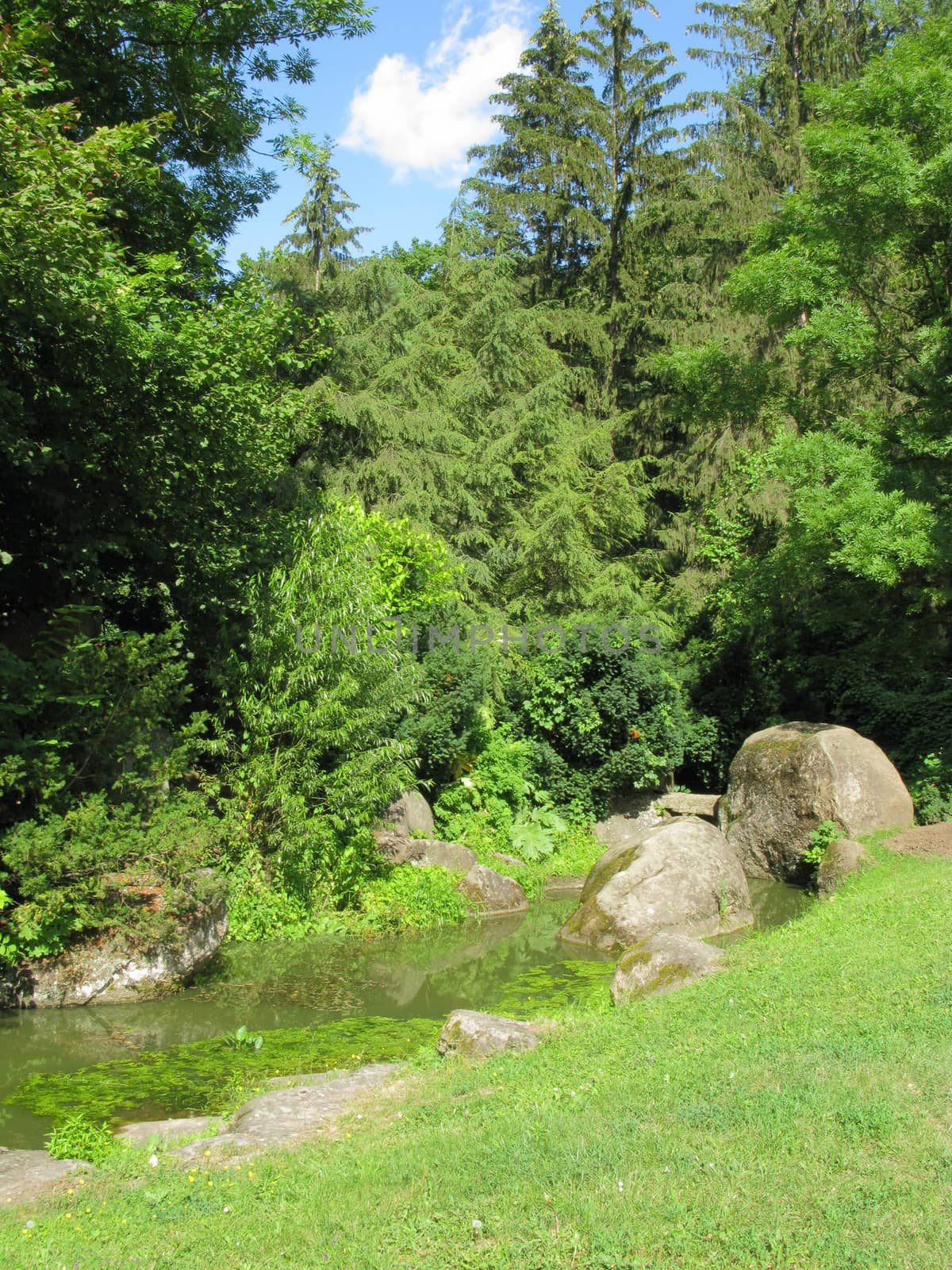 A small creek between two slopes flows between large gray cobbles