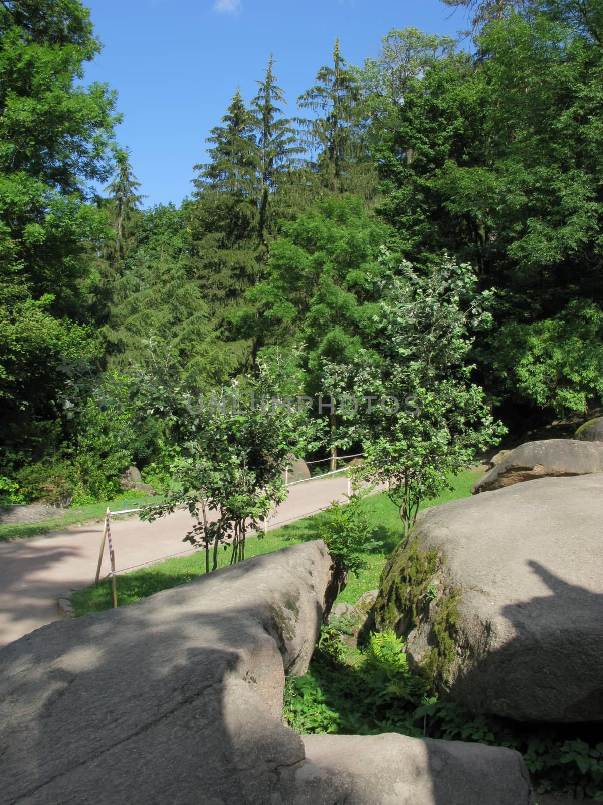 The path goes to a thick green forest thicket with huge boulders lying on the roadside with a prominent blue sky above the treetops. by Adamchuk