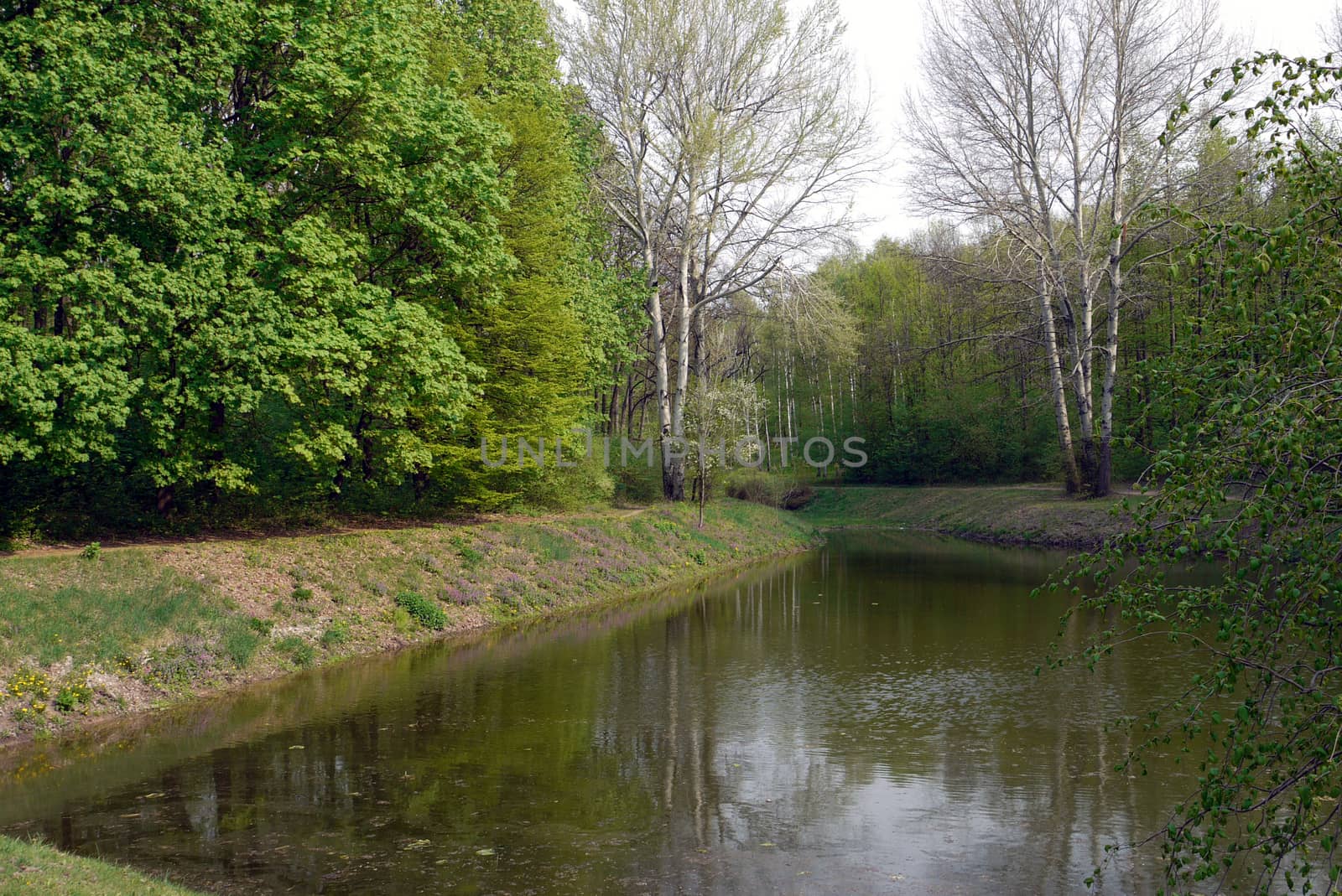 A small pond among the low banks with trees growing on the shore, both with green foliage and without it.
