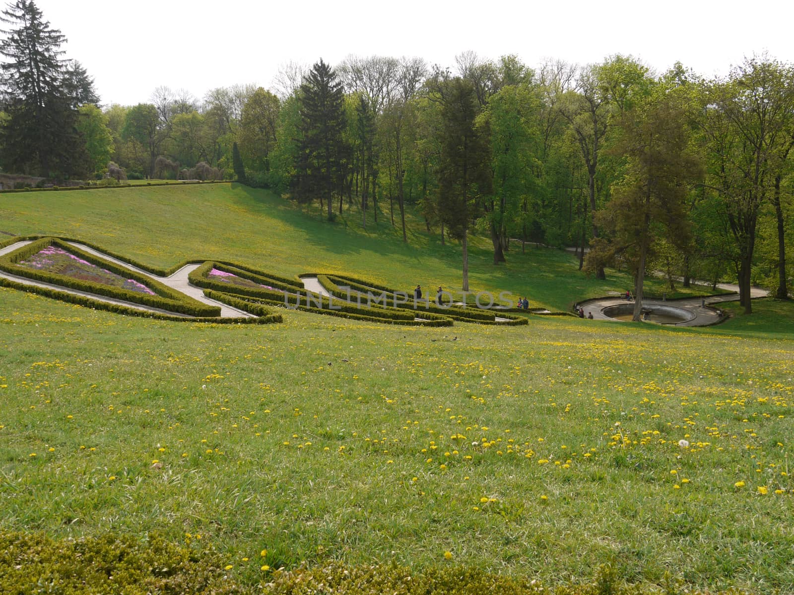 on the green slopes of the park with growing daisies are located a beautiful view of the decorative figure of the bushes
