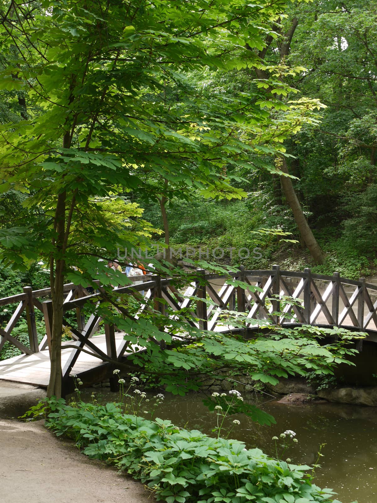 chestnut next to a wooden bridge across the river