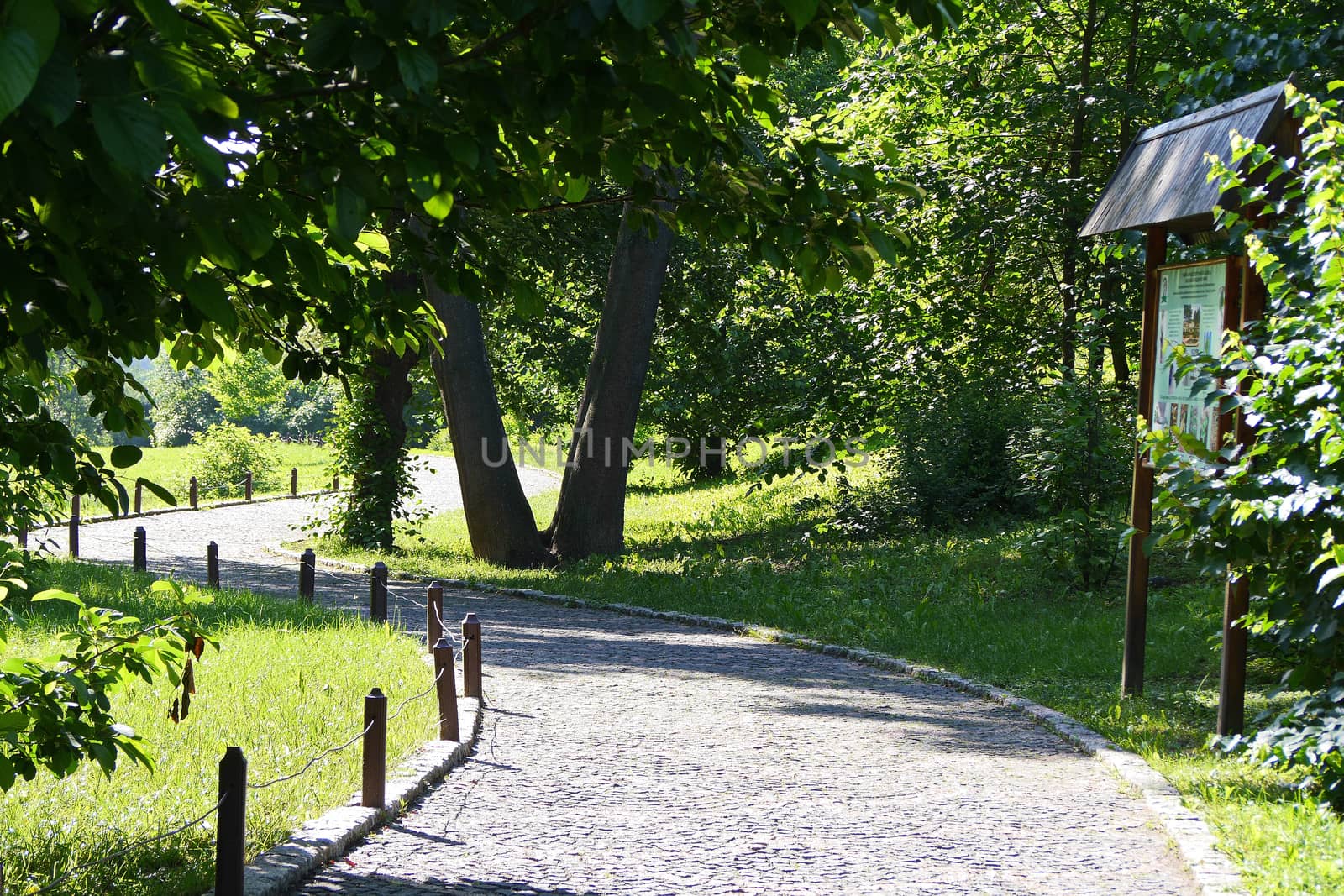Stone-stitched promenade with informational sign amid a beautiful park zone
